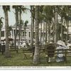 Royal Poinciana, Afternoon Concert Hour, Palm Beach, Fla.