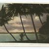 Sunset on Lake Worth, Palm Beach, Fla.