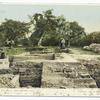 Ruins of Old Fort, New Smyrna, Fla.