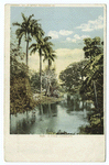 A Landscape, Cuba