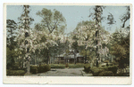 A Cottage, Summerville, S. C.