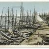 Sponge Fleet, Nassau, B. I.