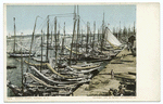Sponge Fleet, Nassau, B. I.