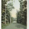 The Green Drive, Hotel Champlain, Lake Champlain, N. Y.