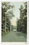 The Green Drive, Hotel Champlain, Lake Champlain, N. Y.