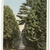 Path through Trees, Fort Wm. Henry Hotel, Lake George, N. Y.