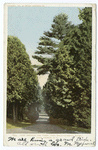 Path through Trees, Fort Wm. Henry Hotel, Lake George, N. Y.