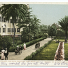 Walk and garden, Royal Poinciana, Palm Beach, Fla.