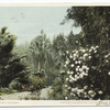 View in Grounds, at Baldwin's Ranch, Pasadena, Calif.
