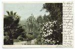 View in Grounds, at Baldwin's Ranch, Pasadena, Calif.