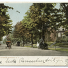 Delaware Avenue, Buffalo, N. Y.