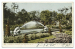 Canfield Park Fountain, Saratoga, N. Y.