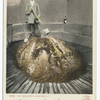 High Rock Spring, Interior, Saratoga, N. Y.