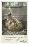 High Rock Spring, Interior, Saratoga, N. Y.