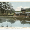 Lake and Boat House, Washington Park, Albany, N. Y.