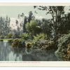 Corner of the Lake, Wastlake Park, Los Angeles, Calif.