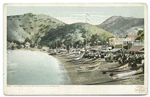 The Beach, Avalon, Santa Catalina, Calif.