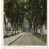 Cemetery Avenue, Springfield, Mass.