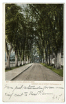Cemetery Avenue, Springfield, Mass.