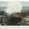 The Churn Marblehead Neck, Marblehead Neck, Mass.