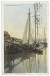 A Cape Ann Fishing Schooner, Gloucester, Mass.