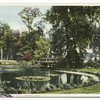 Lily Pond, Elizabeth Park, Hartford, Conn.