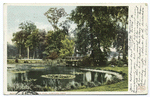 Lily Pond, Elizabeth Park, Hartford, Conn.