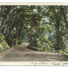 On West River Road, Brattleboro, Vt.
