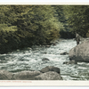 Rapids at Bartlett's Carry, Saranac Lakes, N. Y.