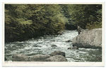 Rapids at Bartlett's Carry, Saranac Lakes, N. Y.