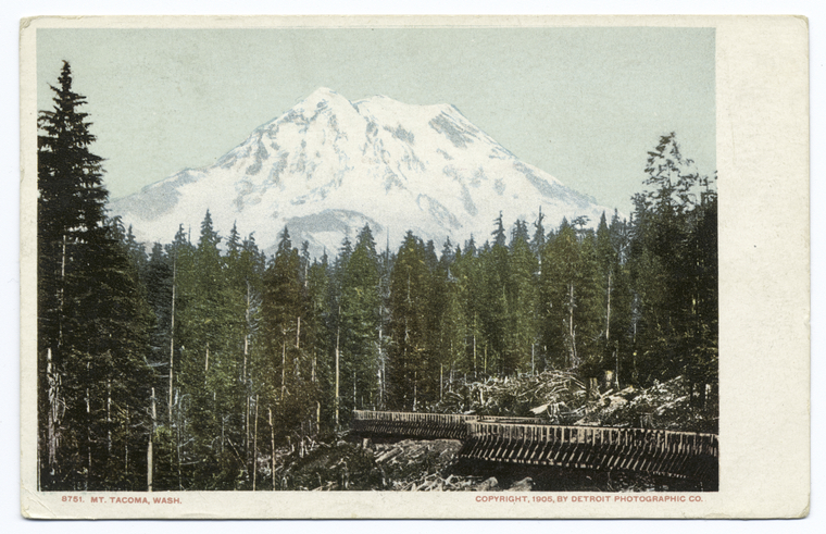 Postcard from 1905 titled "Mt. Tacoma, Wash."