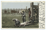 Branding, Cowboy