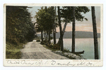 Along the Shore, Lake Spofford, Chesterfield, N. H.