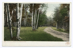 Presque Isle, Shore Drive, Marquette, Mich.