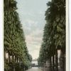 A Palm Drive, So, California