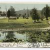 Mountain Park Lily Pond, Holyoke, Mass.