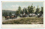Wylie Permanent Camp, Yellowstone Ntl., Park, Wyo.