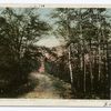 Leslie Avenue, Mackinac Isl., Mich.