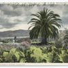 A California Winter