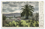 A California Winter