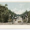 PIcking Oranges, California