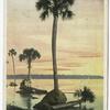 On the St. Johns River, Florida