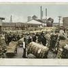 Weighing Cotton, South