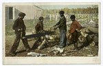 Nigger in the Woodpile