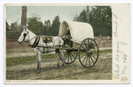 A Virginia Market Cart, Richmond, Va.