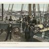 Unloading Oyster Luggers, Baltimore, Md.
