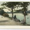 Along the Lake, Rochester, N. Y.