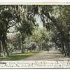 Ridgewood Avenue, Daytona, Fla.