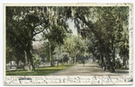 Ridgewood Avenue, Daytona, Fla.
