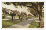 Orange Grove Avenue, Pasadena, Calif.